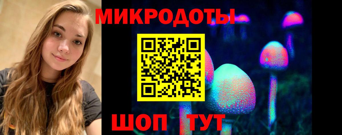 Галлюциногенные грибы Magic Shrooms Клин